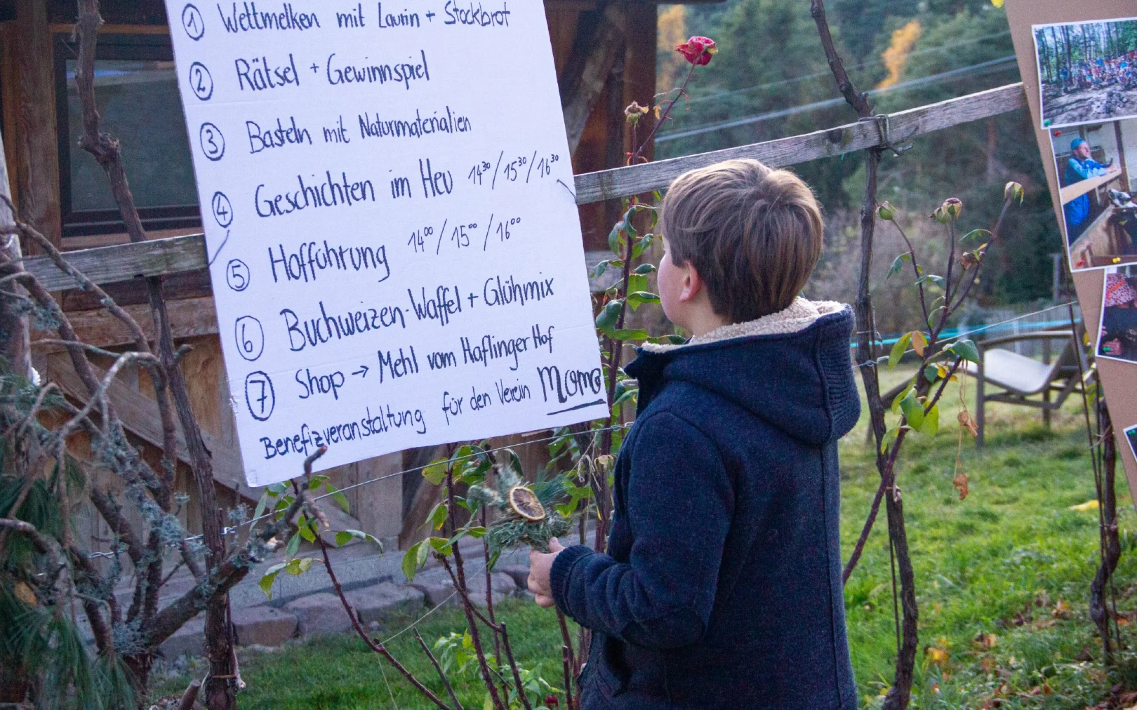 Advent am Haflingerhof 66 Gro.jpg